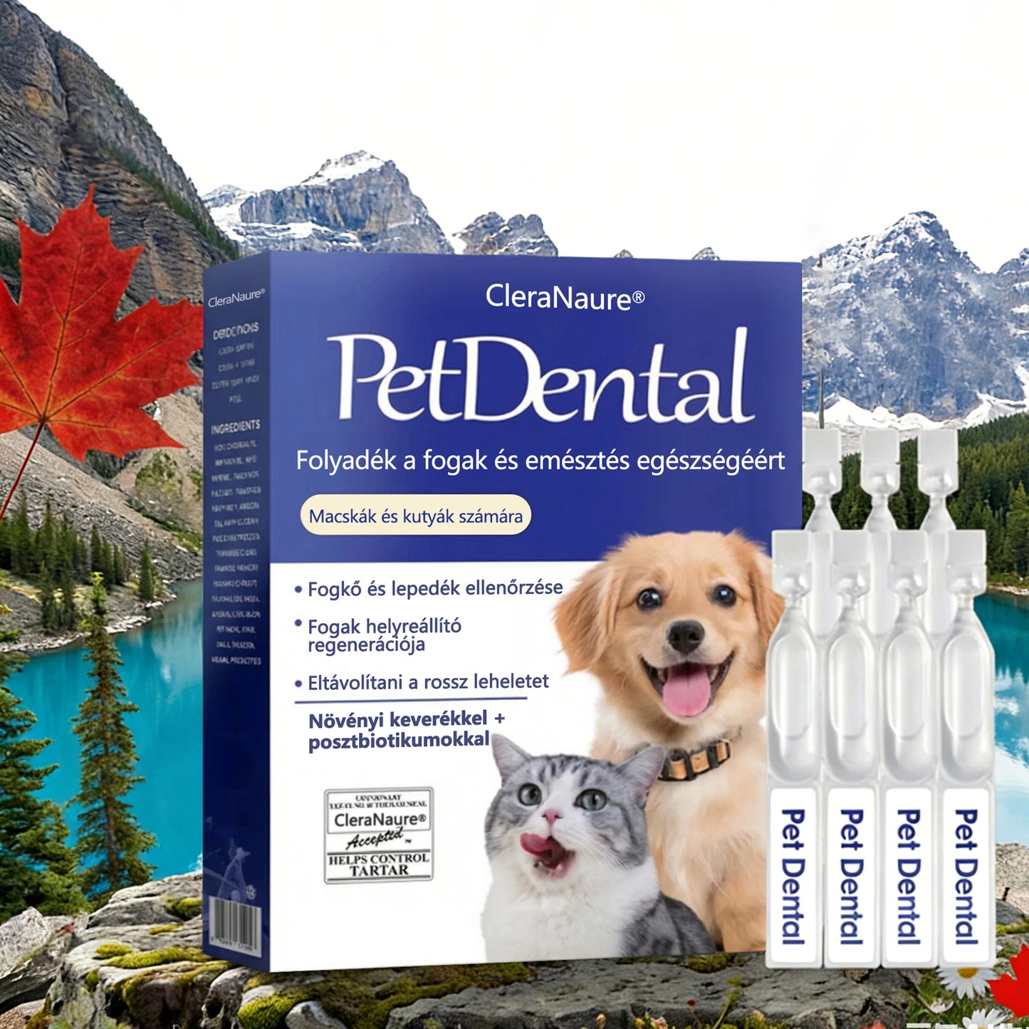 🐶[Hivatalos áruház] CleraNaure® Pet Dental & Digestive Health Oral Liquid – Frissíti a leheletet, eltávolítja a fogkövet, elősegíti az íny regenerálódását és stabilizálja a fogakat (macskák és kutyák számára) – Ma 80% kedvezménnyel!