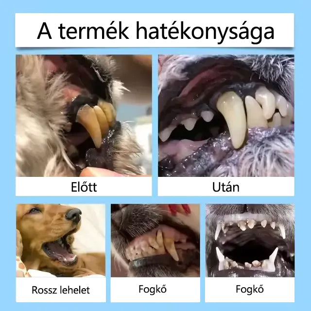 🐶[Hivatalos áruház] CleraNaure® Pet Dental & Digestive Health Oral Liquid – Frissíti a leheletet, eltávolítja a fogkövet, elősegíti az íny regenerálódását és stabilizálja a fogakat (macskák és kutyák számára) – Ma 80% kedvezménnyel!