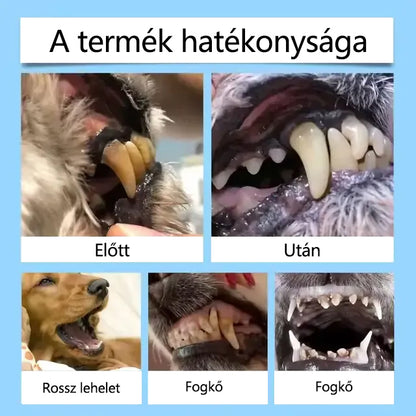 🐶[Hivatalos áruház] CleraNaure® Pet Dental & Digestive Health Oral Liquid – Frissíti a leheletet, eltávolítja a fogkövet, elősegíti az íny regenerálódását és stabilizálja a fogakat (macskák és kutyák számára) – Ma 80% kedvezménnyel!