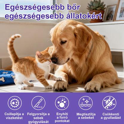 🐶CleraNaure® WaxLift háziállat fültisztító oldat