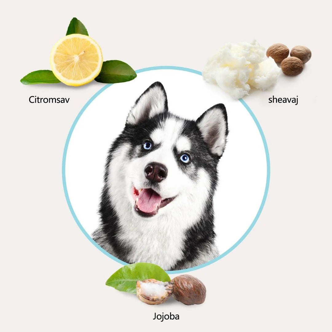 🐾Timilk™ Állatszőr-tisztító kesztyűk Pro