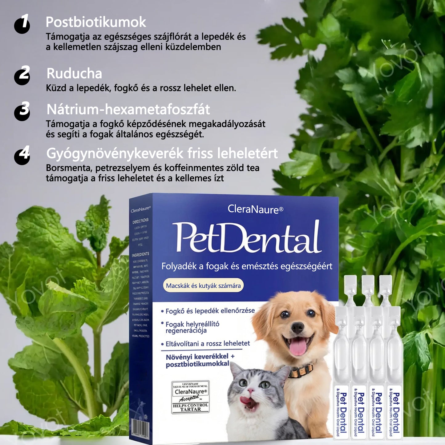 🐶[Hivatalos áruház] CleraNaure® Pet Dental & Digestive Health Oral Liquid – Frissíti a leheletet, eltávolítja a fogkövet, elősegíti az íny regenerálódását és stabilizálja a fogakat (macskák és kutyák számára) – Ma 80% kedvezménnyel!